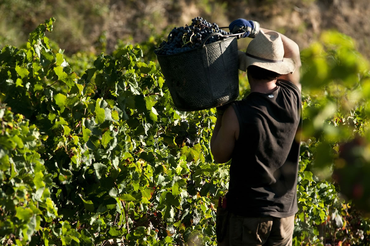 Cómo conseguir el permiso de trabajo en España Requisitos