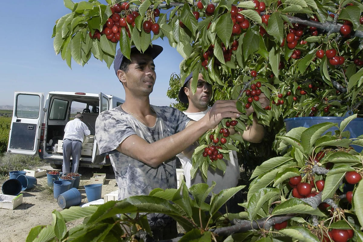 Abogados Molina de Segura